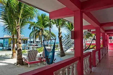 Conch Shell Hotel San Pedro (Ambergris Caye)
